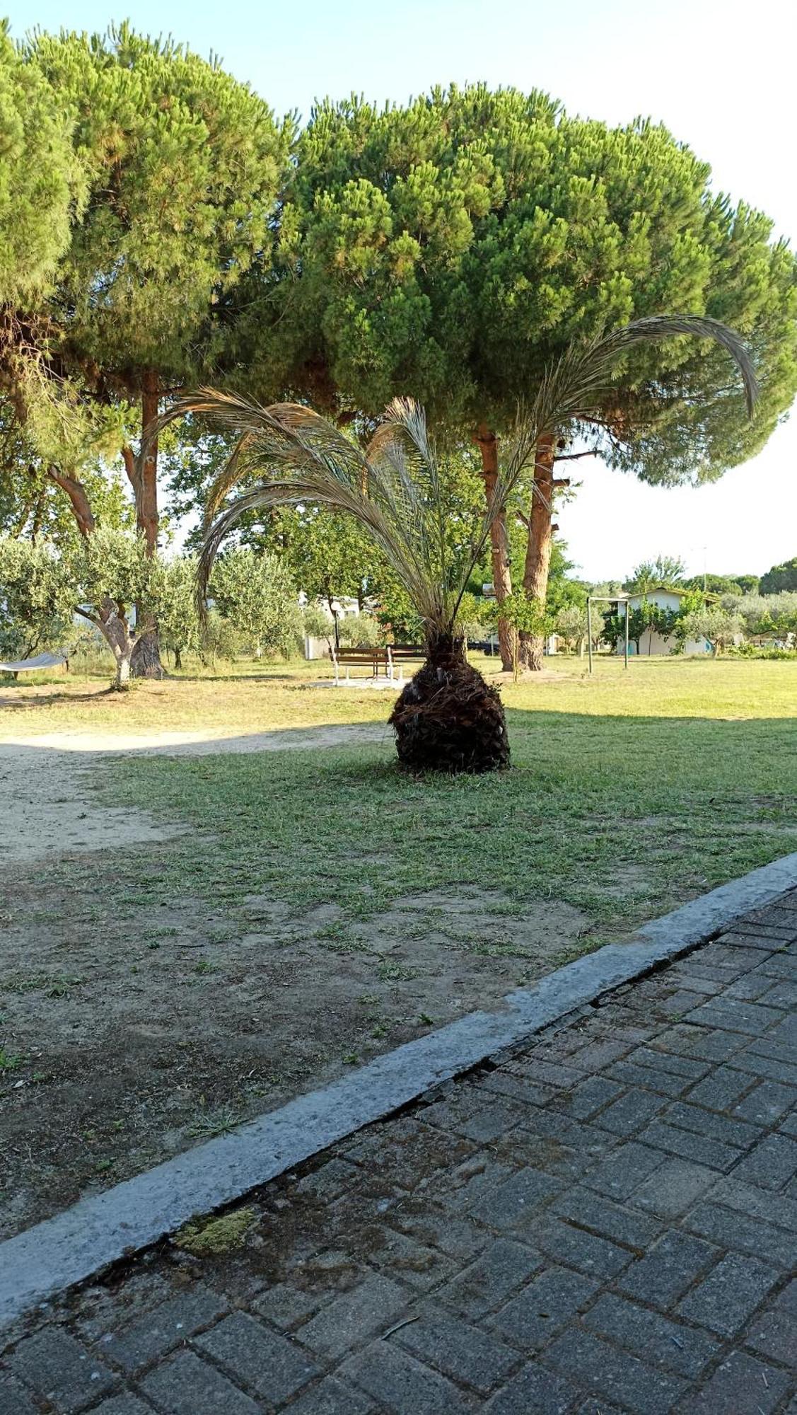 Holiday home Poseidon Room's *